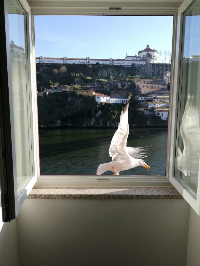 Red House By The River Apartment Porto Exterior foto