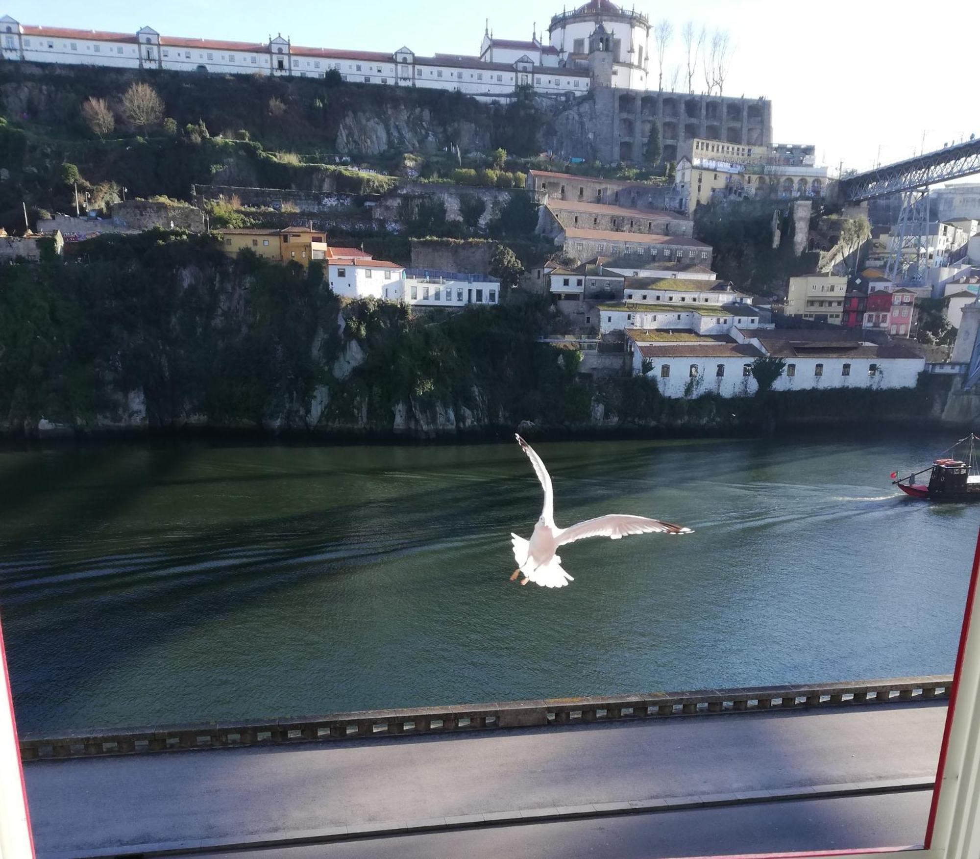 Red House By The River Apartment Porto Exterior foto